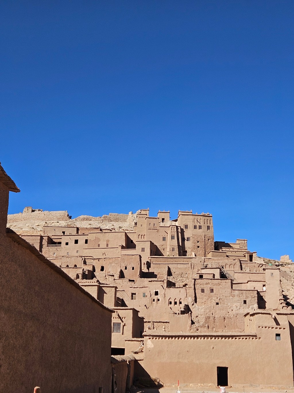 50 ปี อย่างสง่างาม😄