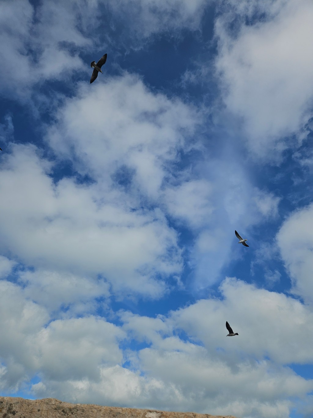 ฉันจะแข่งกับตัวเอง