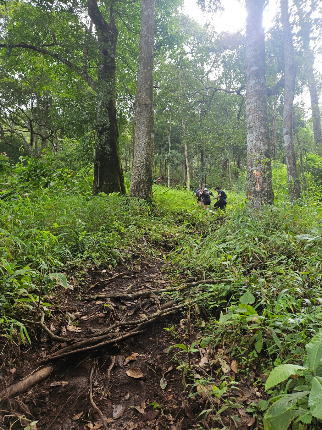 ข้อคิดจาก&nbsp; Trail Running