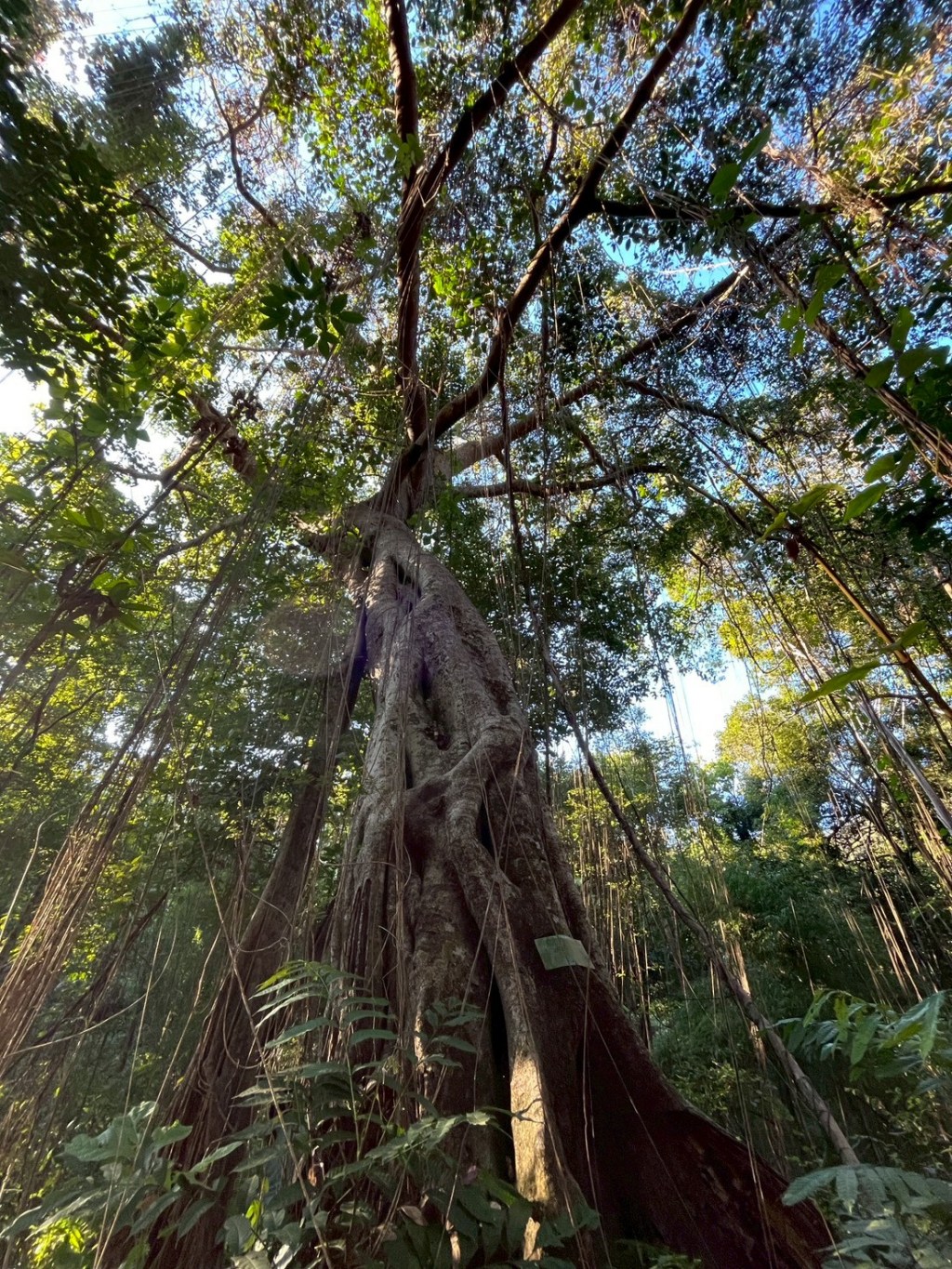 หนังสือของฉัน