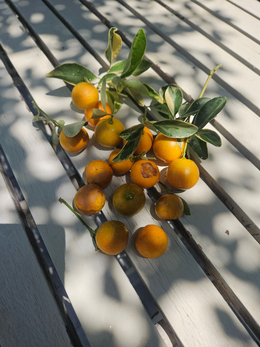 หากเธอเชื่อในตัวเรา