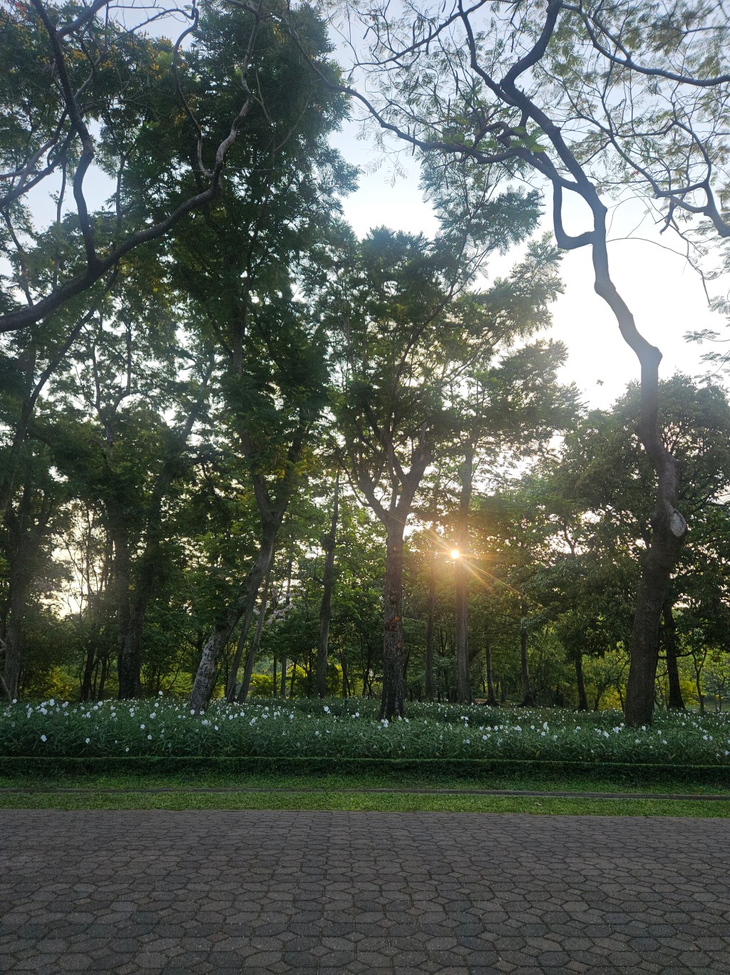 เสร็จ สำเร็จ และ&nbsp;ego