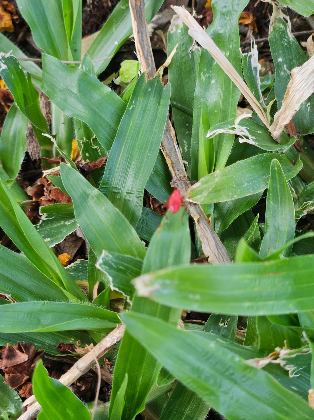 จงเป็นตัวเราที่ไม่ใหญ่เท่าตัวตน