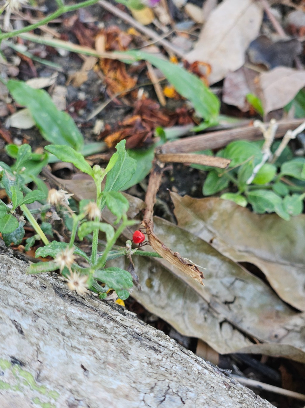 โลก หรือ เรา&nbsp;ที่วุ่นวาย