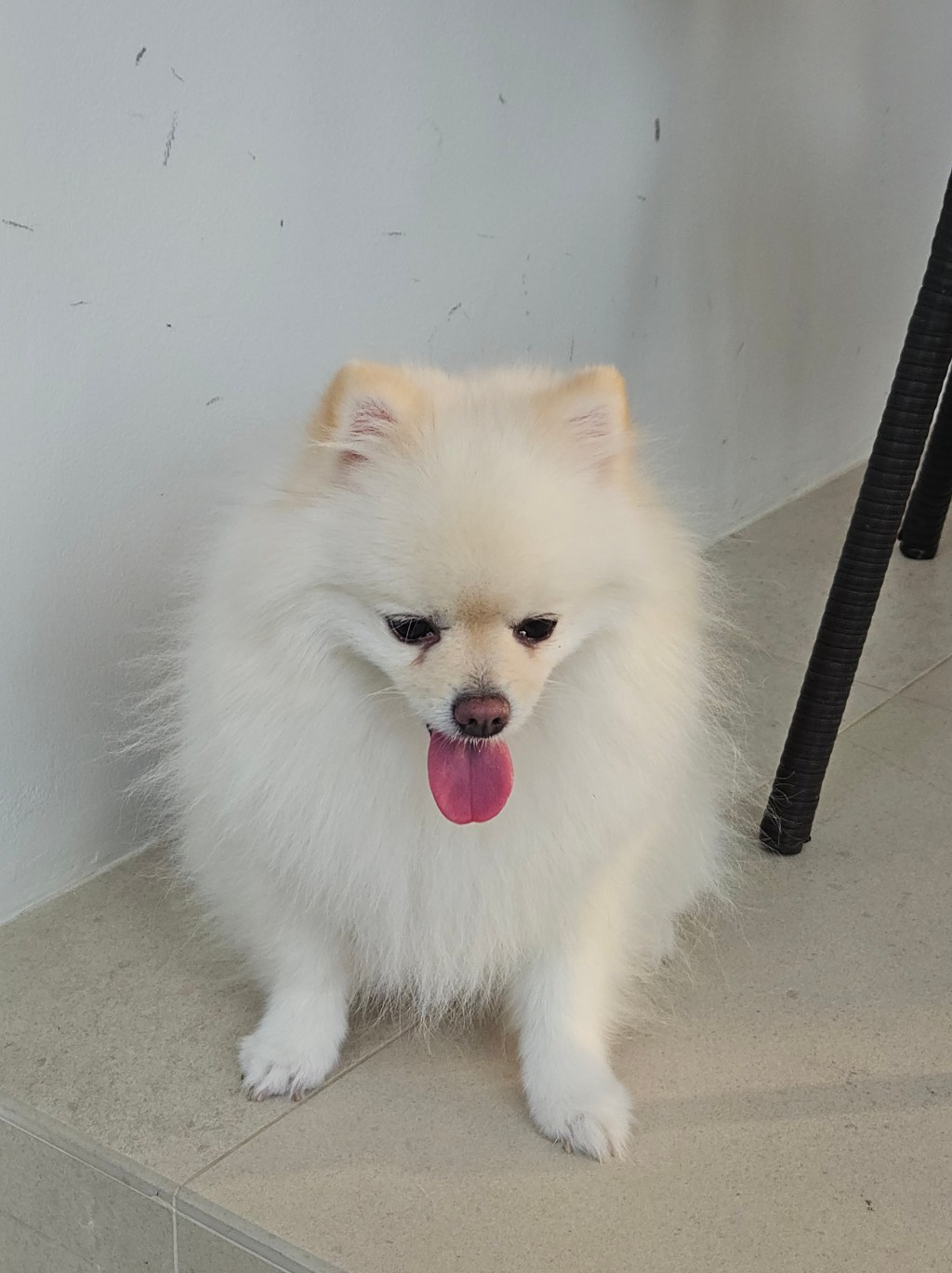 พิจารณาตัวเอง